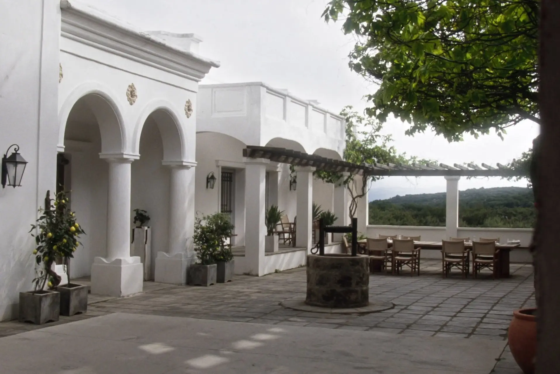 The courtyard at Calma with the long table under the vine